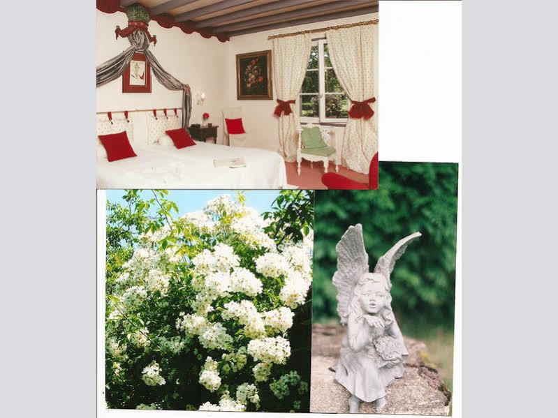 Le Petit Manoir Des Bruyeres Bed & Breakfast Villefargeau Dış mekan fotoğraf